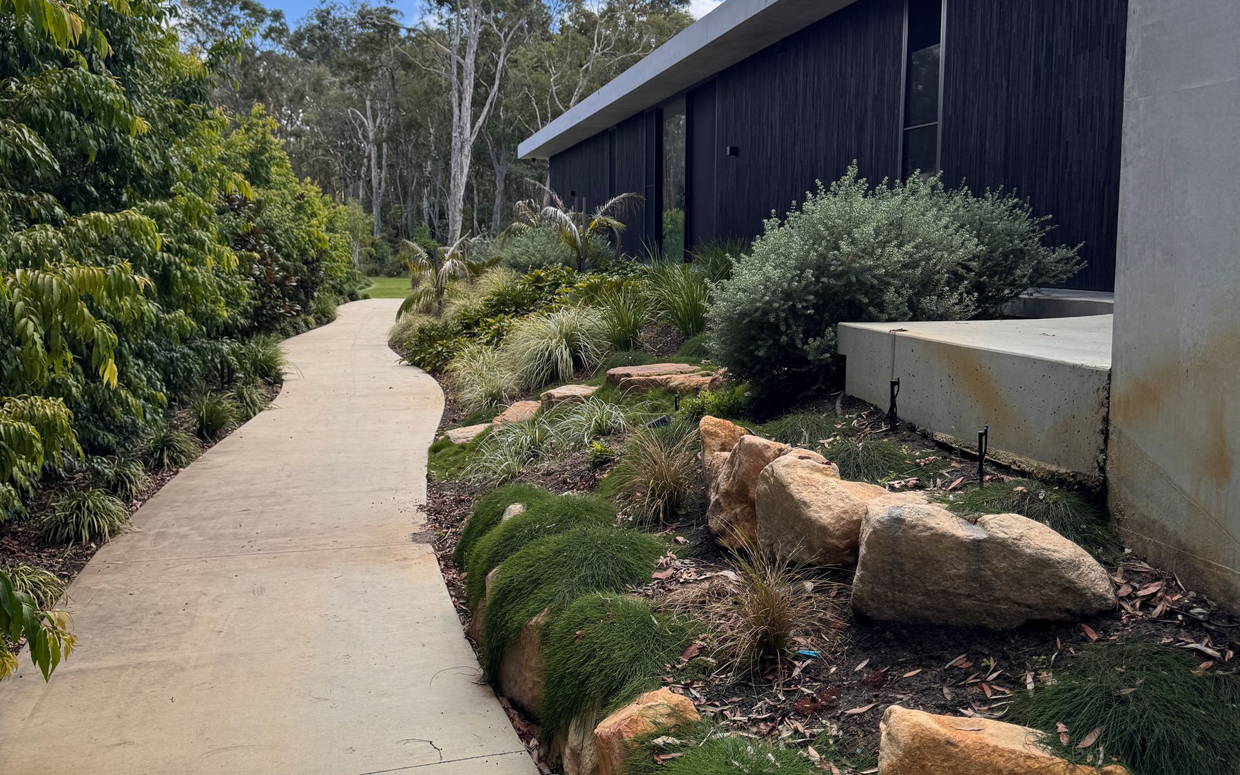 Concrete path curving past a native garden bed with sandstone boulders and tufted grasses