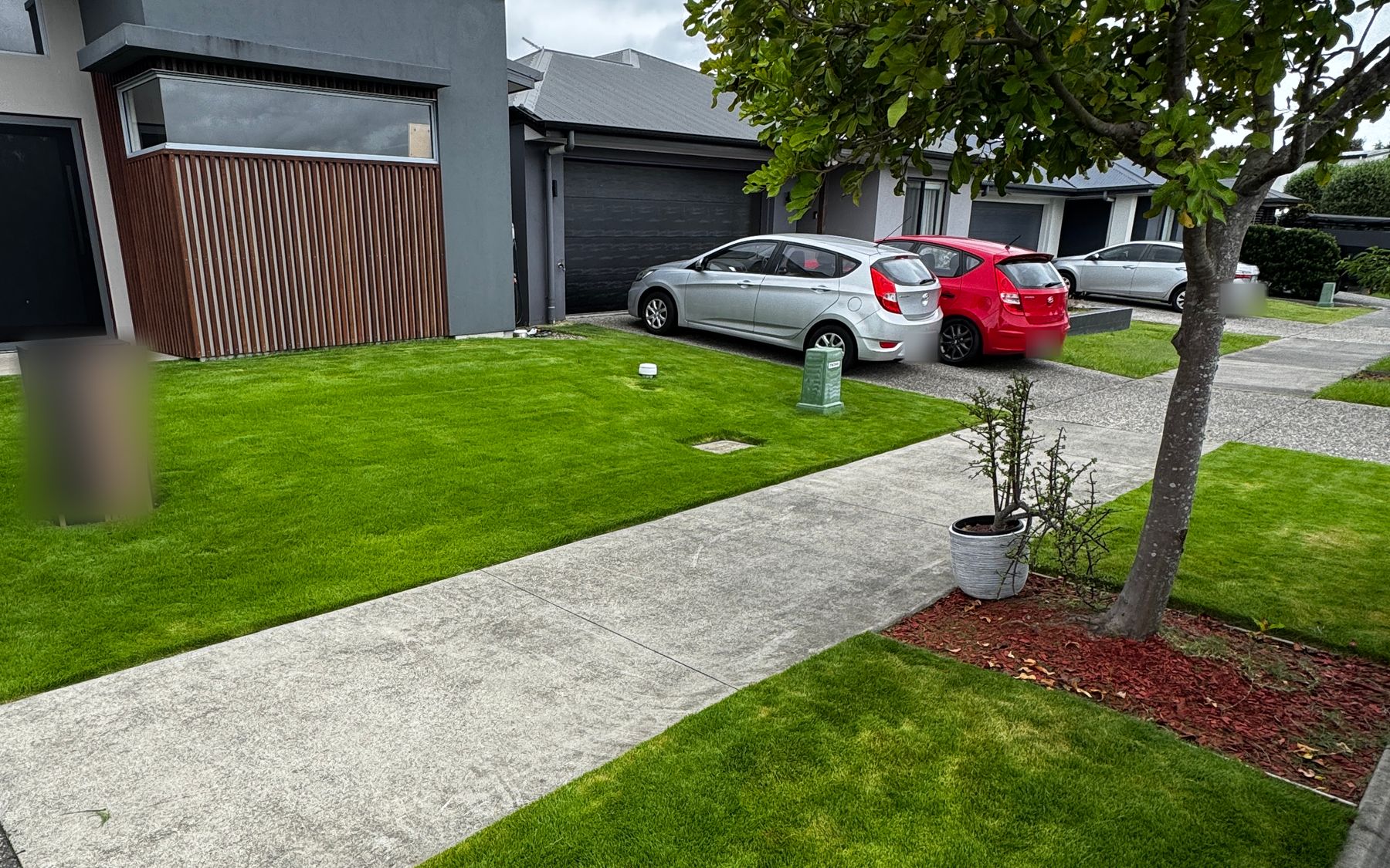 Freshly laid turf across two front lawns beside a footpath on a suburban street