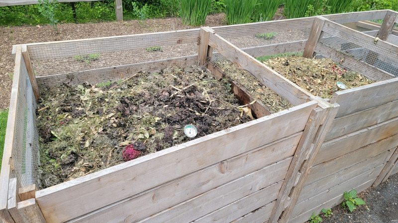 A wooden three-bay compost system with wire mesh sides, filled with garden clippings and a compost thermometer